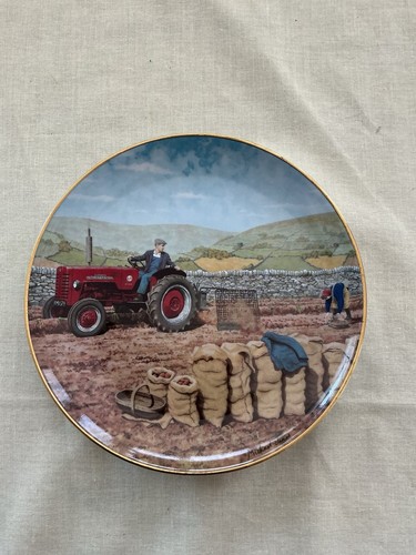 Border fine arts tractor plate - border,
