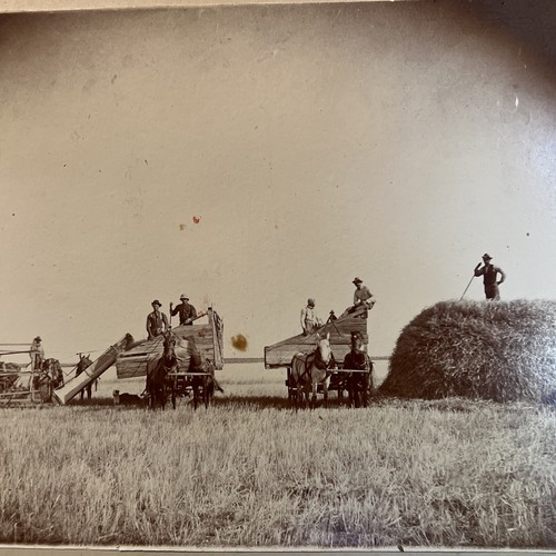 Large photo horse drawn - , grain