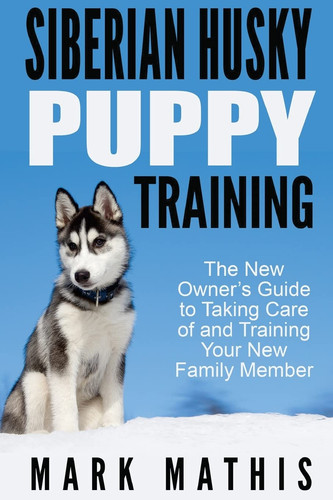 Siberian husky puppy - siberian,