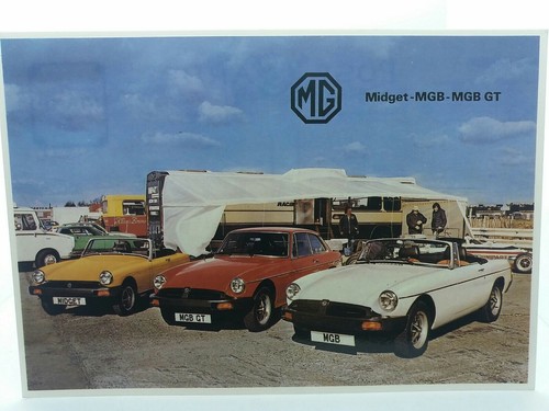 Cars group models - models, of