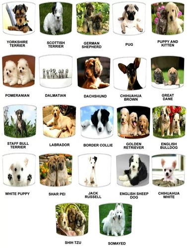 Handmade puppy dog breeds - puppy,