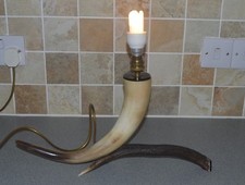 Vintage deer antler - deer, &