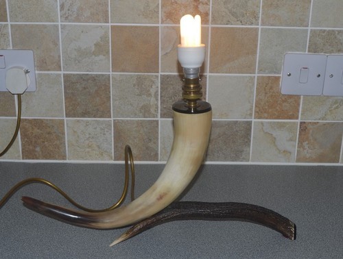 Vintage deer antler - antler, horn