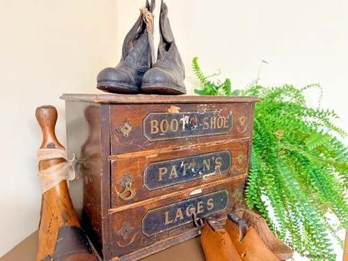 Antique counter top display - antique, display-
