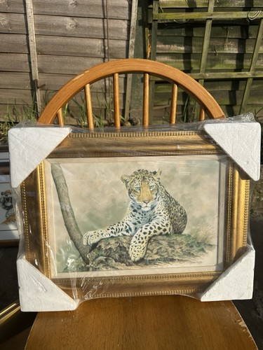 Limited edition framed - edition,