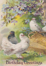 HAPPY BIRTHDAY GREETINGS CARD