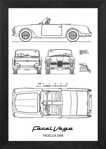 Bnw facel vega - facel, 19