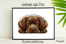 CHOCLATE LABRADOR PUPPY A4