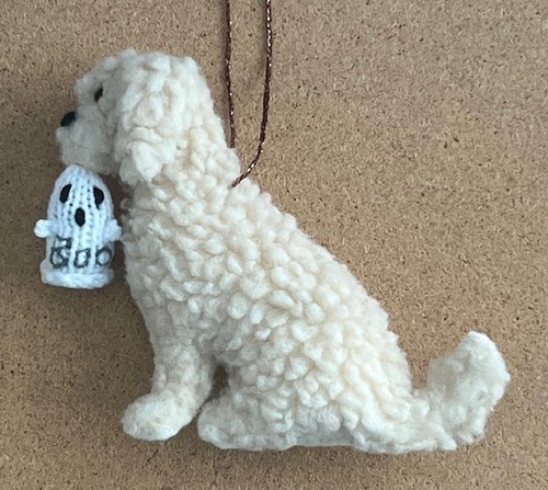 Cream cockapoo cavapoo - cockapoo,