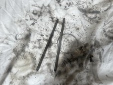 Kawasaki Mule 2010 KAF 540 C