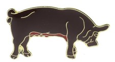 Duroc farm pig - farm, brown