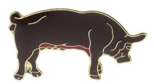 Duroc farm pig - duroc, pork