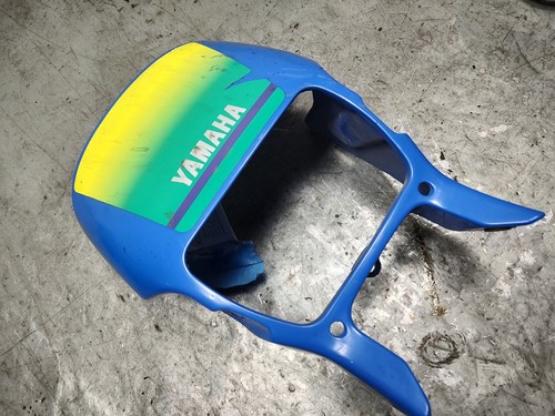 Bikini screen for headlight