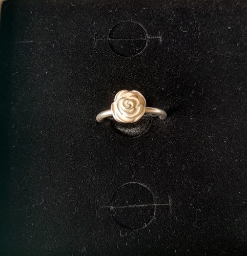 Pandora rose garden enamel