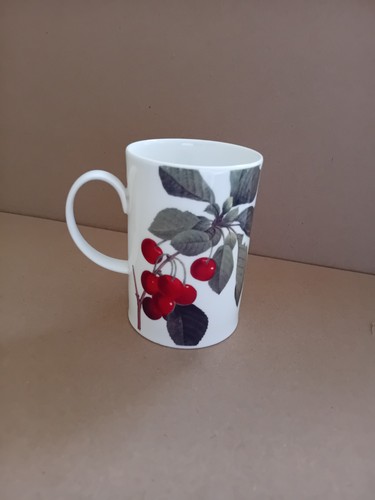 Dunoon fine bone china mug - fine,