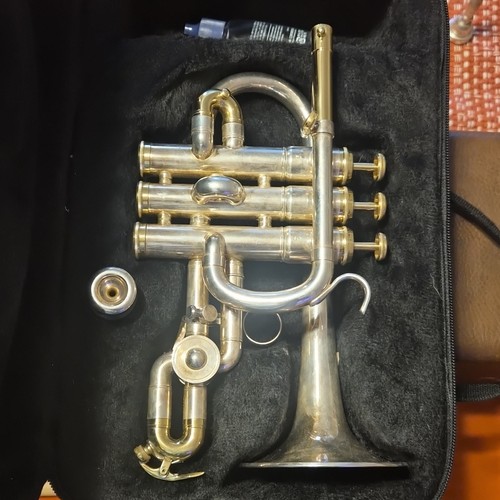 Berkeleywind piccolo - bb,