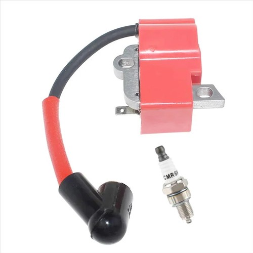 Ignition coil module for - ignition,
