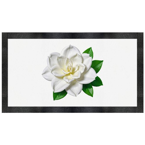 Gardenia flower pet feeding - flower',
