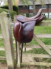 17.5” Loxley Bliss Dressage