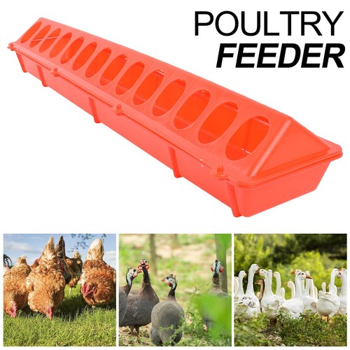 Flip top poultry feeder birds - flip-top,