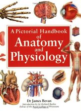 A Pictorial Handbook of