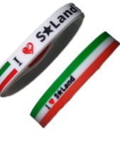 Two Somaliland flag new styles