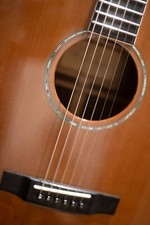 Freshman fa500 gaced acoustic - freshman,