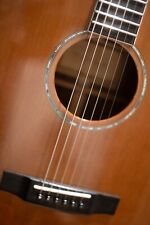 Freshman FA500 GACED Acoustic Guitar