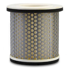 418925 Air Filter for Yam