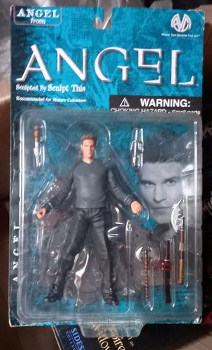 Buffy the vampire slayer - the,