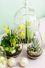 Decorative Artificial Cactus