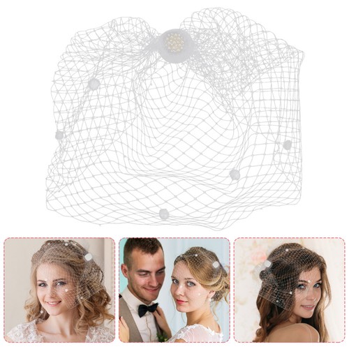 Wedding white birdcage veil - birdcage,