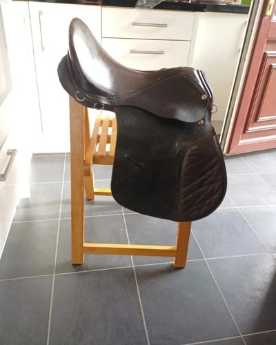 Brown dressage horse - brown,
