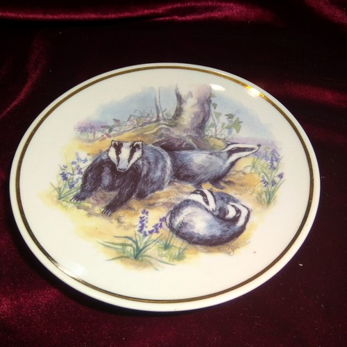 Wildlife britain badgers - of,