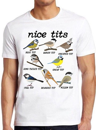 Nice bird birds watch - bird,