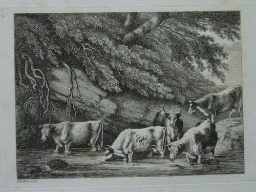 Cows samuel howitt - cows,,
