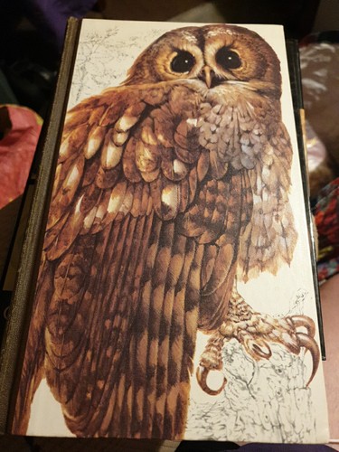Book british birds - british,