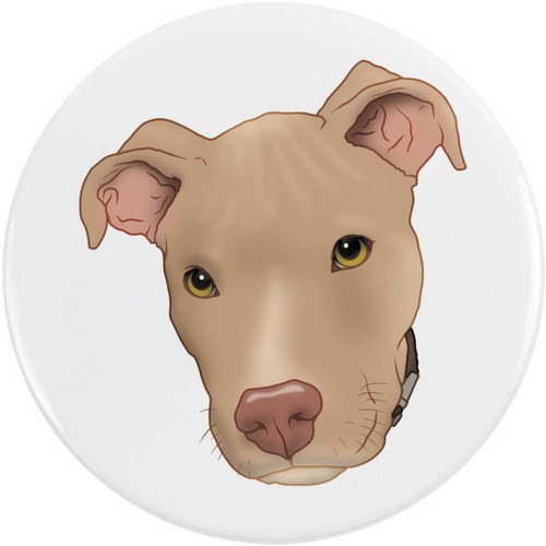 Fawn pit bull terrier - 'fawn, button