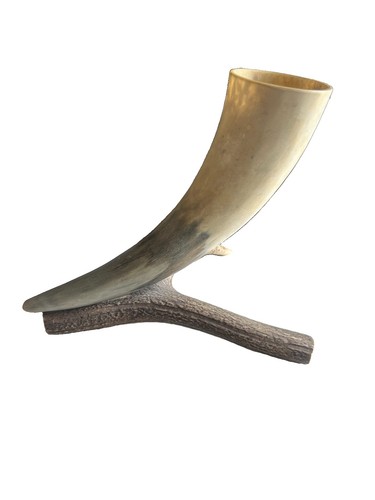 Bull horn mounted - horn,
