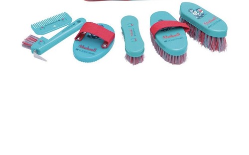 Pony complete grooming - pony,