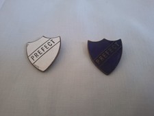 VintageJoblot X2  Blue And