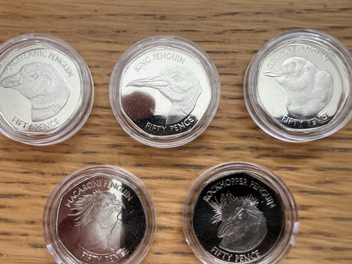 2018 falkland islands penguin - islands,