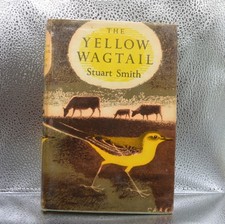 The Yellow Wagtail -Stuart