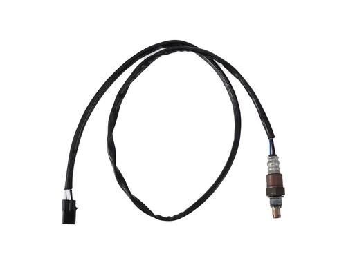 Oxygen sensor for - oxygen,
