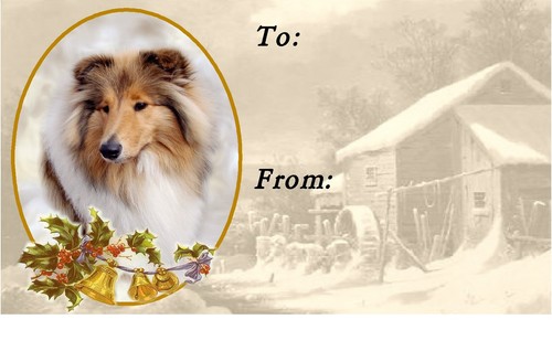 Rough collie christmas labels - collie,