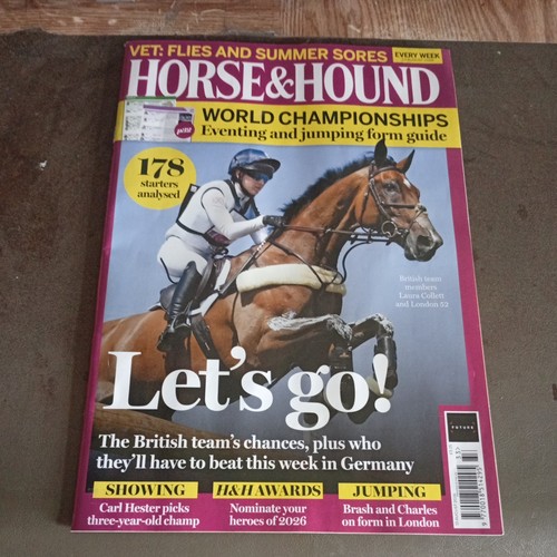 Horse and hound - hound, 13