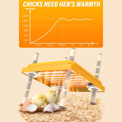 Feeding heater - feeding,