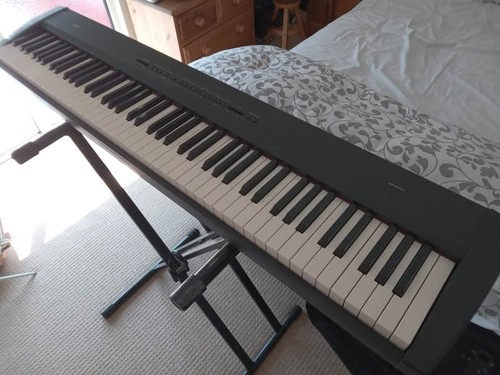 Korg digital stage - korg,