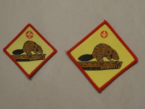Beaver scout neckerchief - scout, &