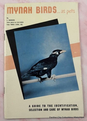 1956 mynah birds - birds, pets